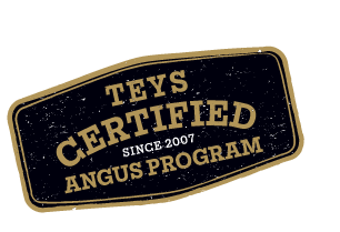 Teys Certified Angus Program Since 2007 Stamp